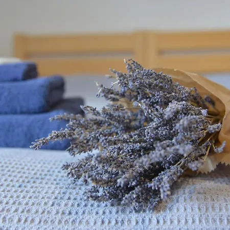 Farm stay Statek Krkavci Hora